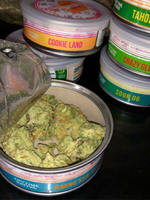 Buy Smart Cans Buds online UK