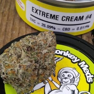 Buy Space Monkey Tins online UK