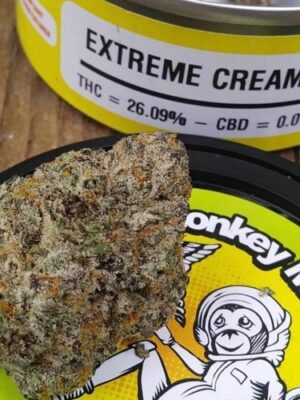 Buy Space Monkey Tins online UK