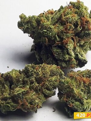 Buy G13 Haze strain online UK