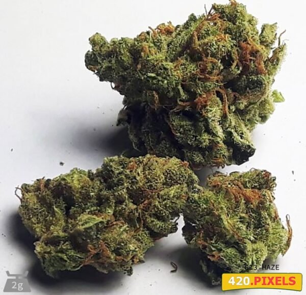 Buy G13 Haze strain online UK