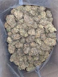 Buy White Widow Strain Online UK | Energizing Hybrid Buy White Widow strain online UK