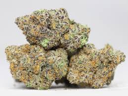 Buy Mendo Breath Weed Online UK | Top Indica Effects Buy Mendo Breath weed online UK