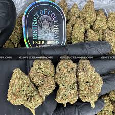 Buy Exotic Wedding Cake Strain UK | Best 2026 Deals Buy Exotic Wedding Cake strain UK