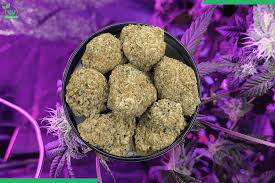 Buy Purple Mimosa strain online UK
