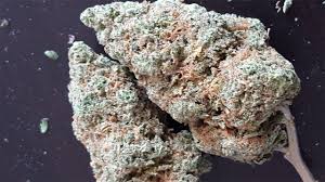 Buy Hawaiian Skunk online UK