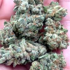 Buy Ace Killer OG Strain Online UK | 27% THC Indica Buy Ace Killer OG strain online UK