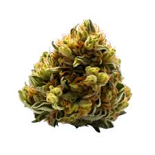 Buy ACDC Strain Online UK | High CBD Low THC Flower Buy ACDC strain online UK