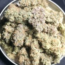 Buy Mystic Blue strain online UK