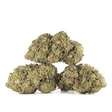 Buy Alaskan Thunder Fuck Online UK | High Potency Sativa Buy Alaskan Thunder Fuck online UK