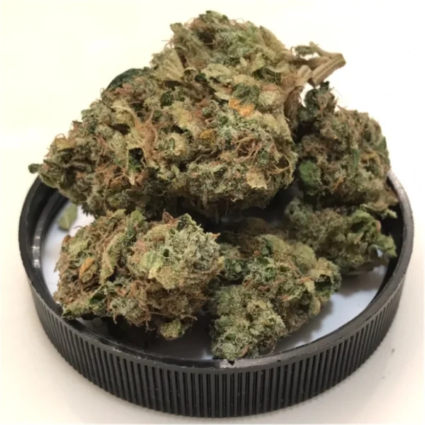 Buy Mr Nice strain online UK