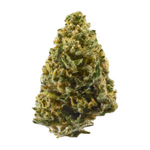 Buy Northern Light weed online UK