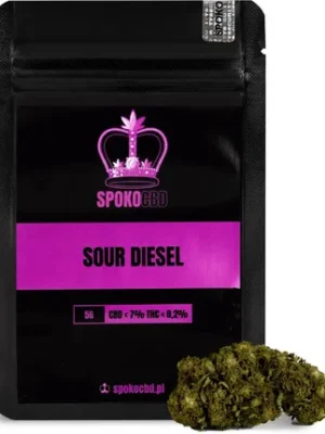 Buy Sour Diesel Cannabis Oil Online UK | Pure Potency Buy Sour Diesel Cannabis Oil online UK