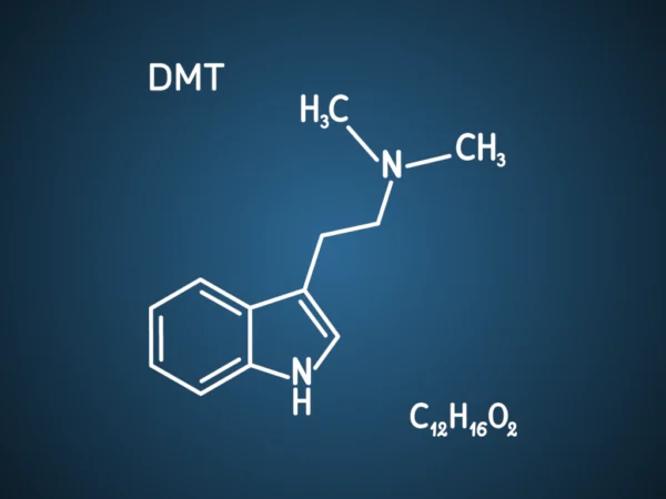 DMT  (N,N-Dimethyltryptamine)